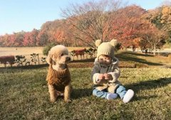 why do some children have the desire to "keep a pet"?