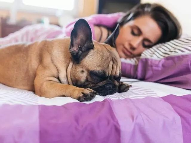 do you think the dog sleeps with you just because it's cold?