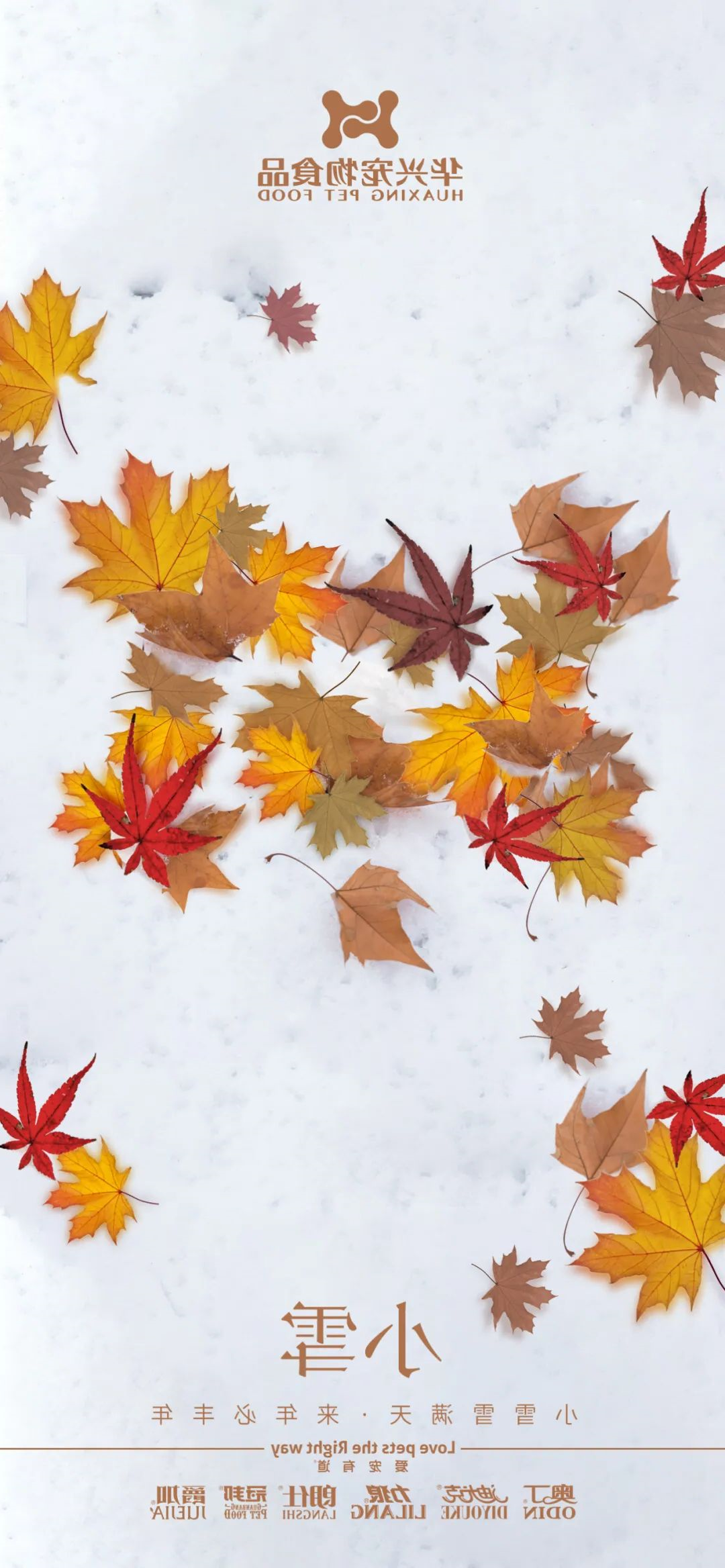 light snow